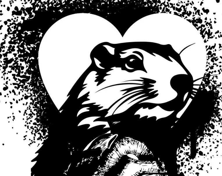 Groundhogs and Glory, the blog is back, sort of!