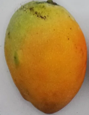 20160617_142922.jpg