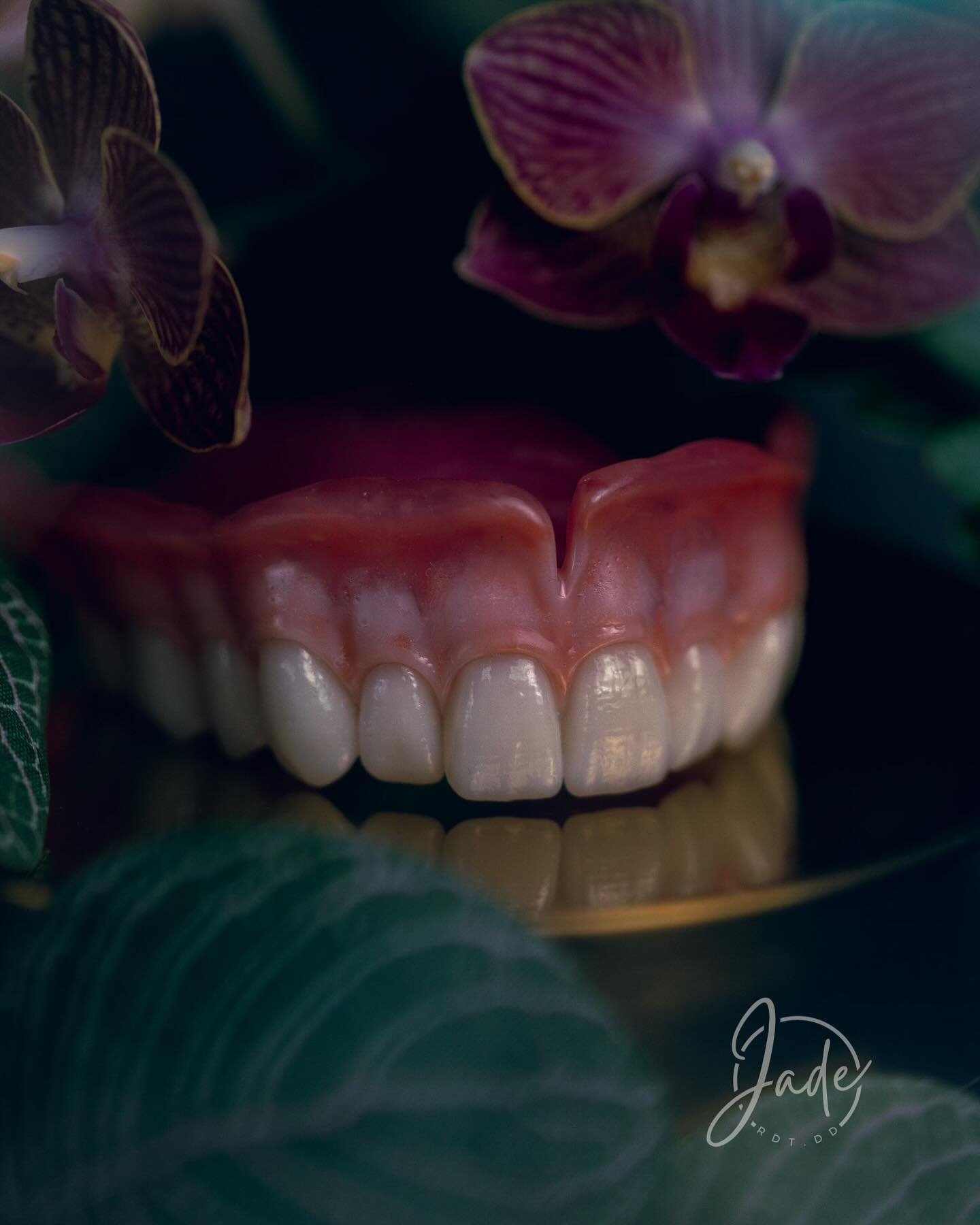The beauty in nature 🌸
.
.
.
Wax: @candulor 
Teeth: @vitanorthamerica @vita Excel + Physiodens
Photo + Maker: @jade.rdtdd 
.
.
.
#dentures #denturelab #denturist #dentalart #dentallabtech #dentallabtechnician #prosthetic #acrylicart #canon100mmmacro