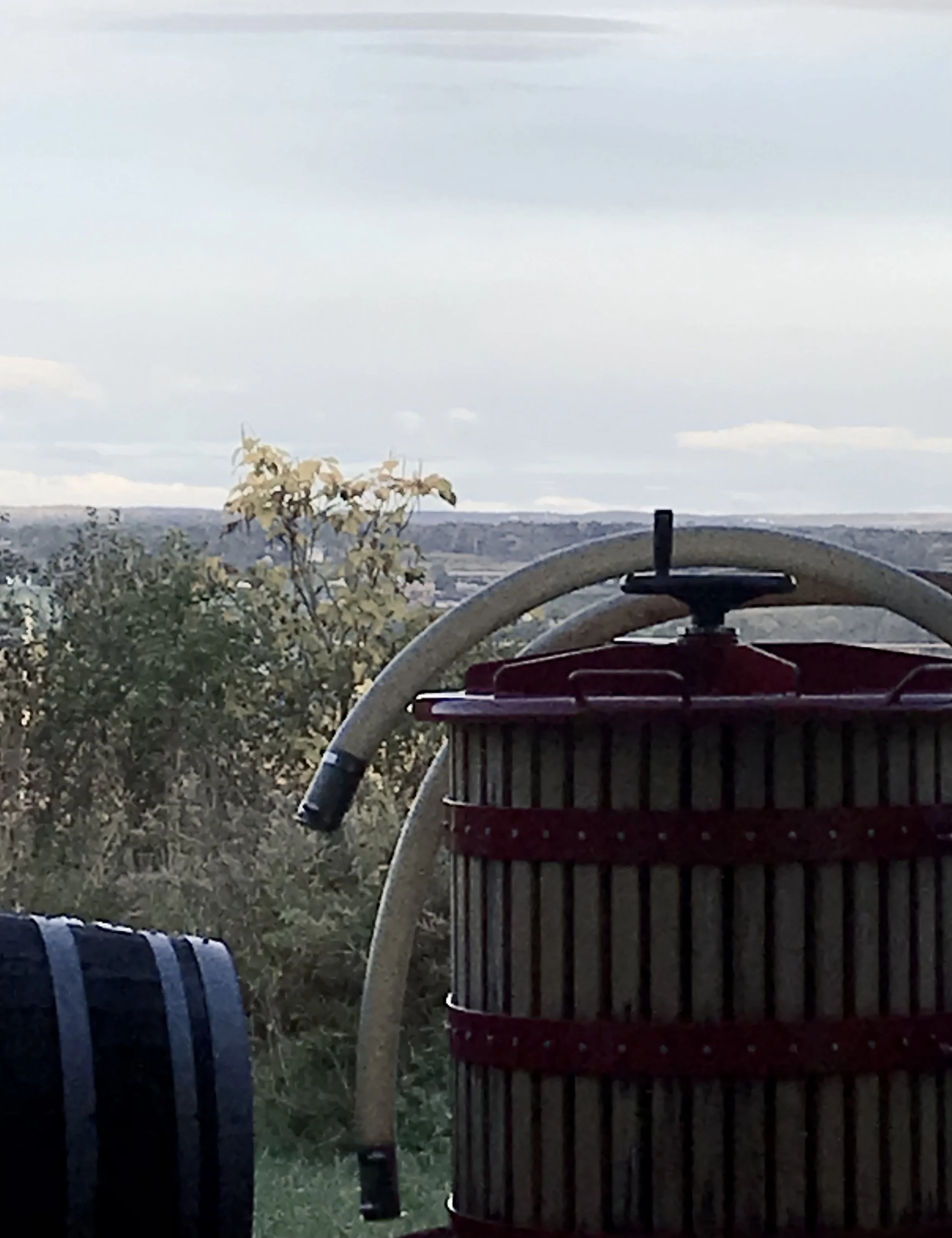 BLOOMER CREEK VINEYARD