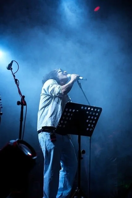 🎤 Building Momentum: Marketing &amp; Artist Development for Emerging Artists