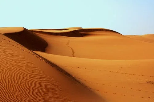 Desert.jpg