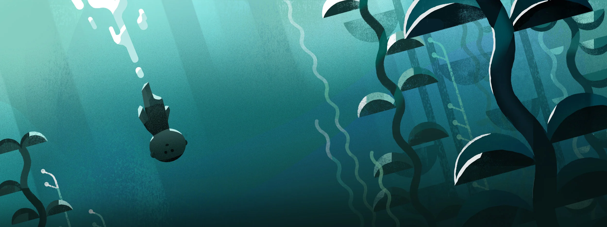 02_kelp2.jpg