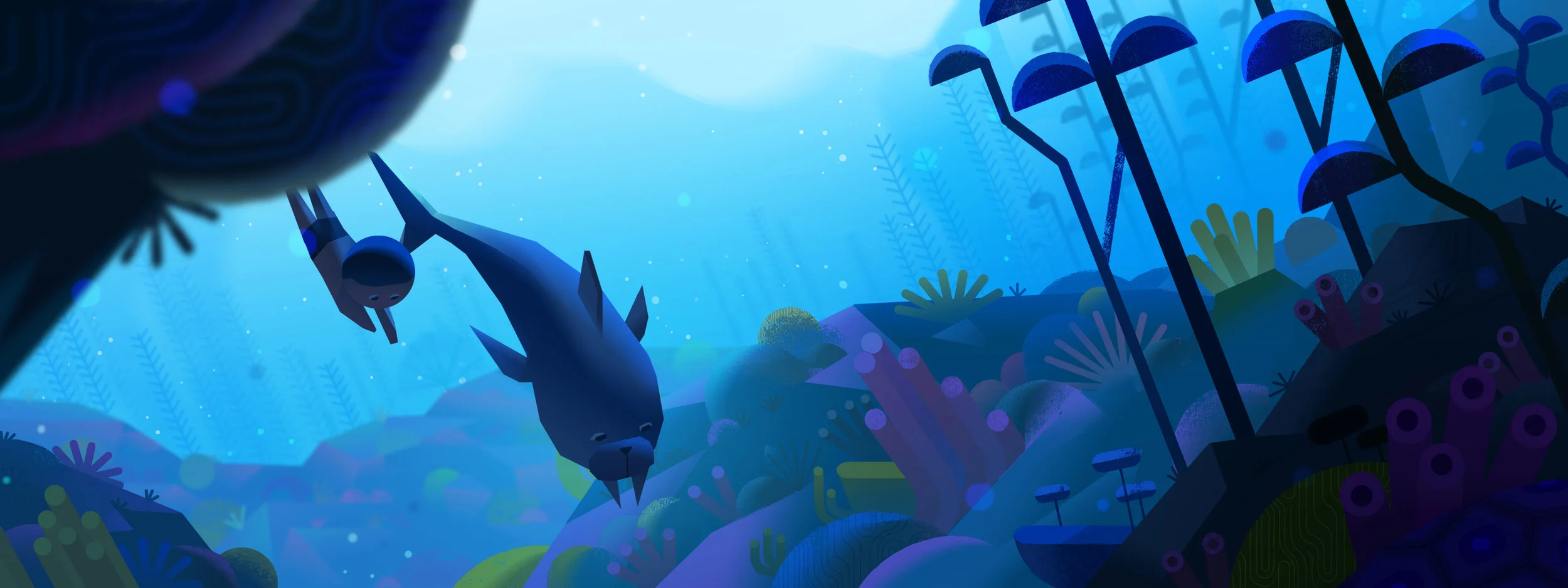 03_coral_02.jpg