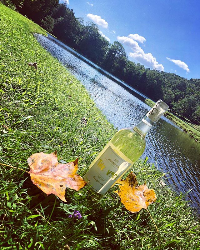 Fall vibes 🍂 🍁
.
.
.
.
.
.
.
.
.
#whatsyourvice #thevicewine #fallspotted #footballseason #tgif #thirsty #sauvignonblanc #drinkvegan #thevice  #Americanros&eacute; #luxurytravel #fridaymood #foliage #partytime #napasauvignonblanc #veganwine #organi