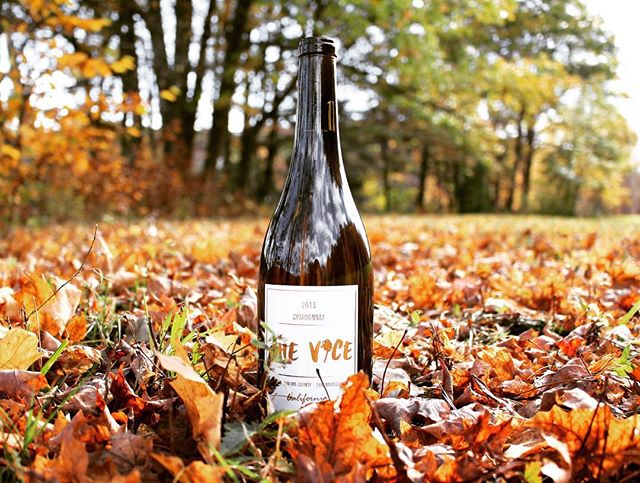 A Vice in the making since 2013
.
.
.
.
.
.
.
.
.
#whatsyourvice #thevicewine #fallspotted #footballseason #tgif #thirsty #sauvignonblanc #drinkvegan #thevice  #fallvibes #luxurytravel #fridaymood #foliage #chardonnaylover #fallweekend #usawine #sthe