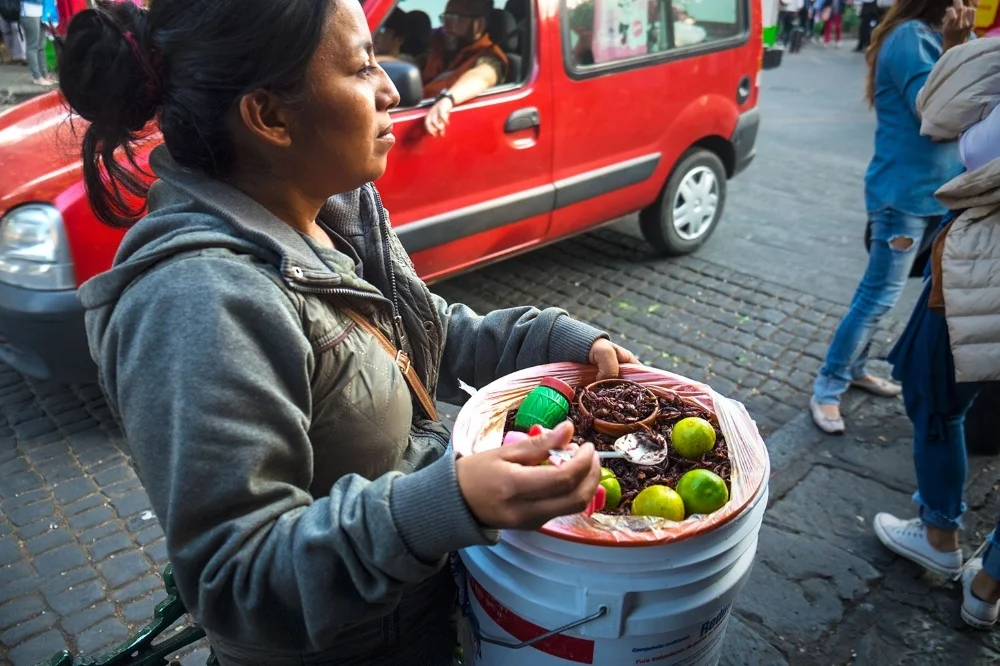 Crickets. Centro de Coyoacan 2016. / © Kiki Provatas. No usage without permission.