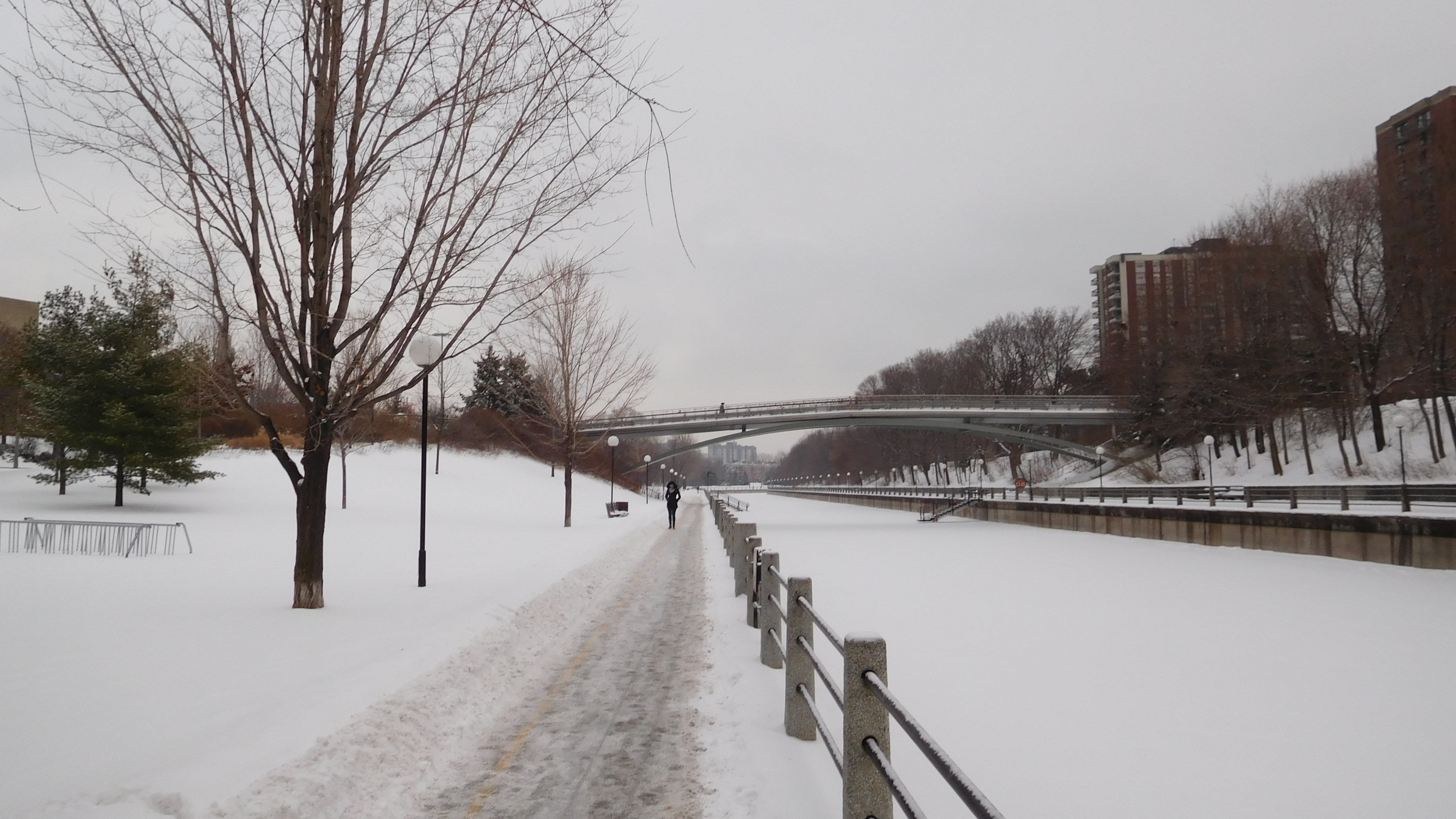And all the while, the Rideau Canal Skateway leaps beneath the snow.