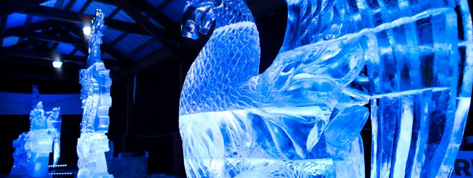 Ice sculptures from Postashcorp wintershines, 2013.