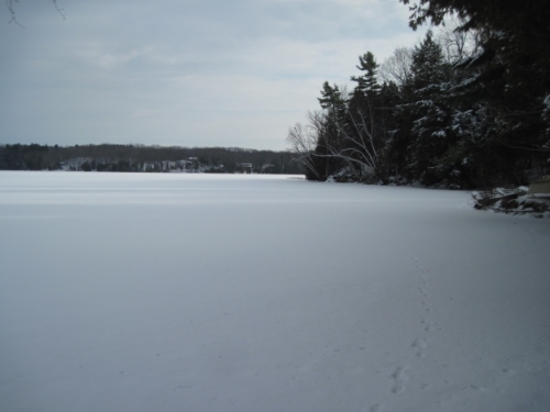 I wish I had a lake to skate away on. Hey, wait a minute... I do!