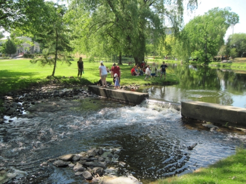 Stewart Park is a sylvan setting...
