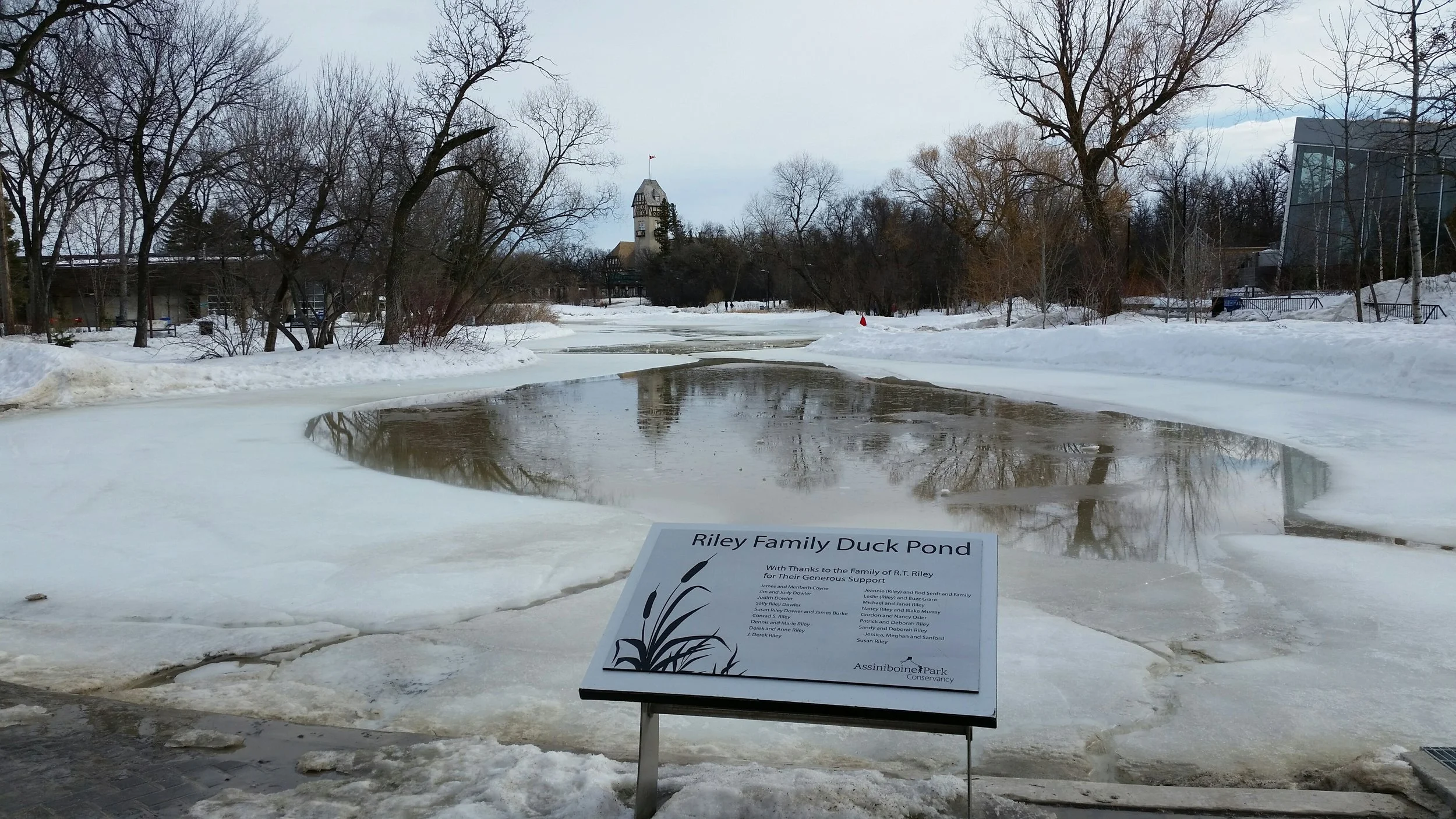 Duck Pond A 2017 02 19.jpg