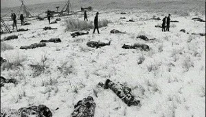 massacre.jpg