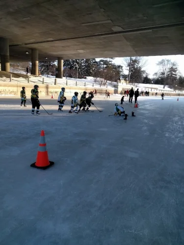 canal bridge shinny.jpg