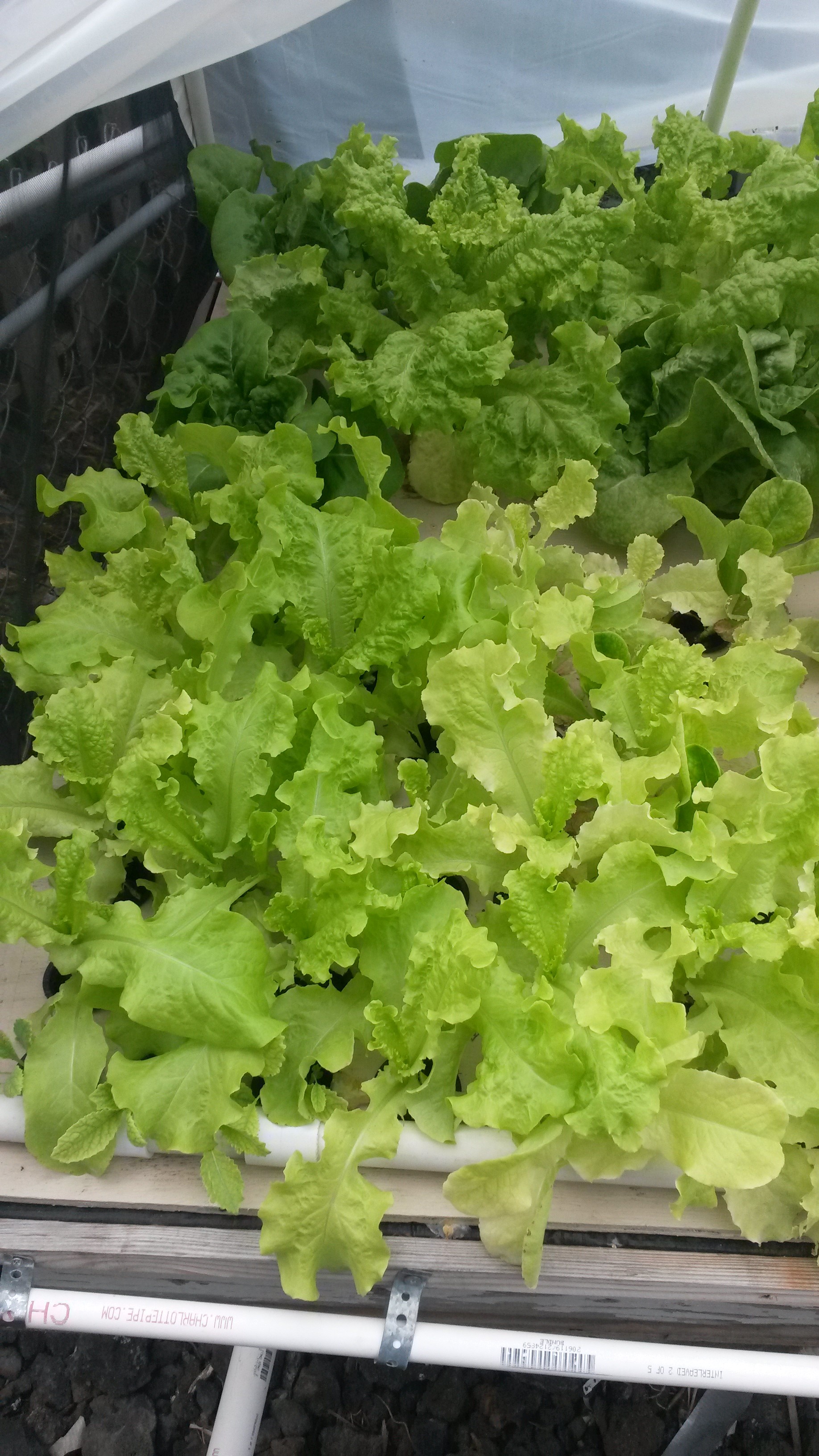20140323_111523.jpg