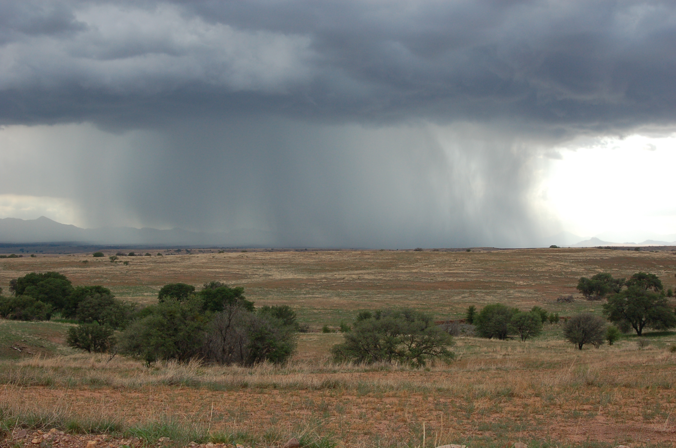Arizona Monsoons