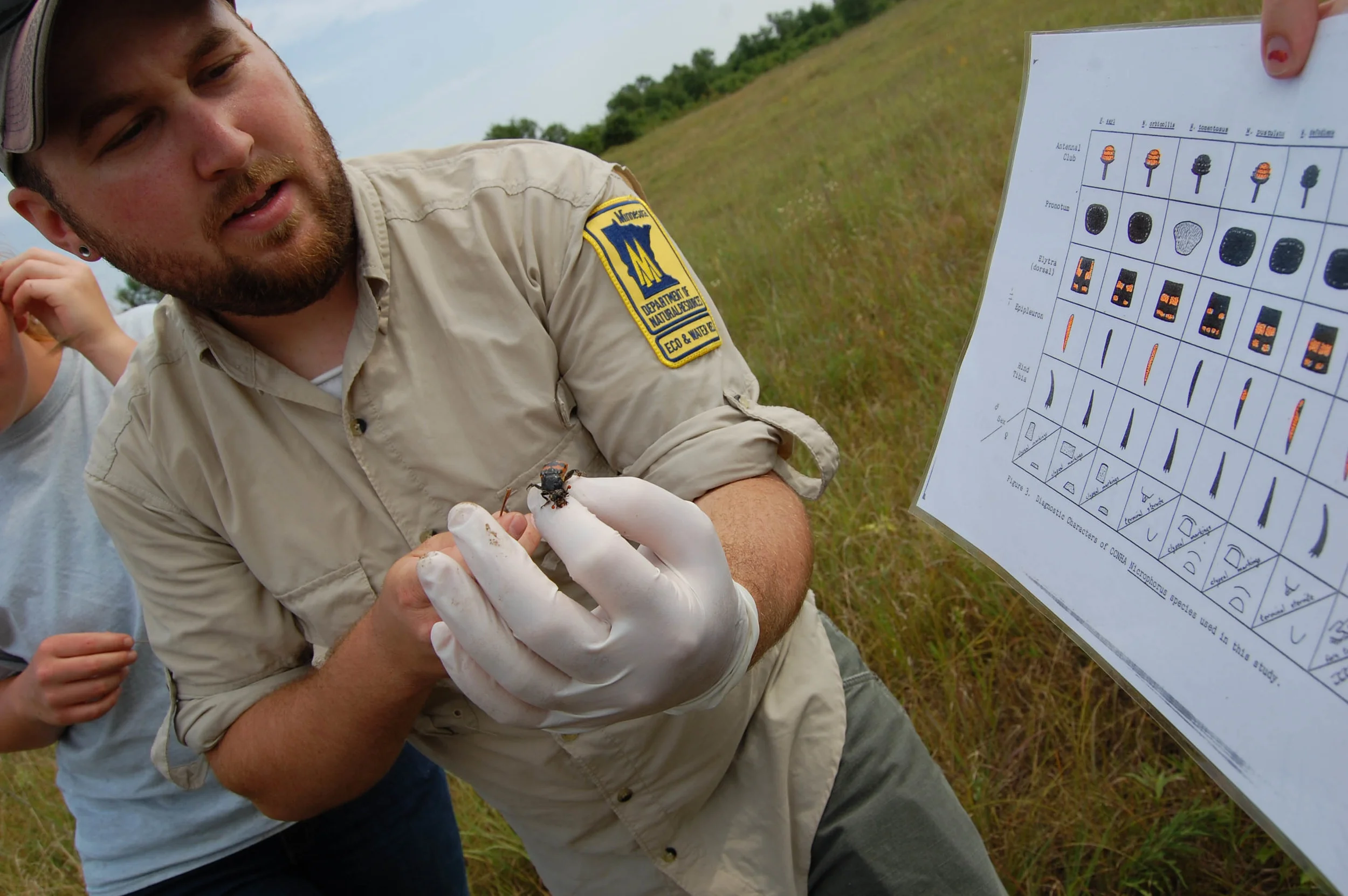 In search of nature’s undertakers