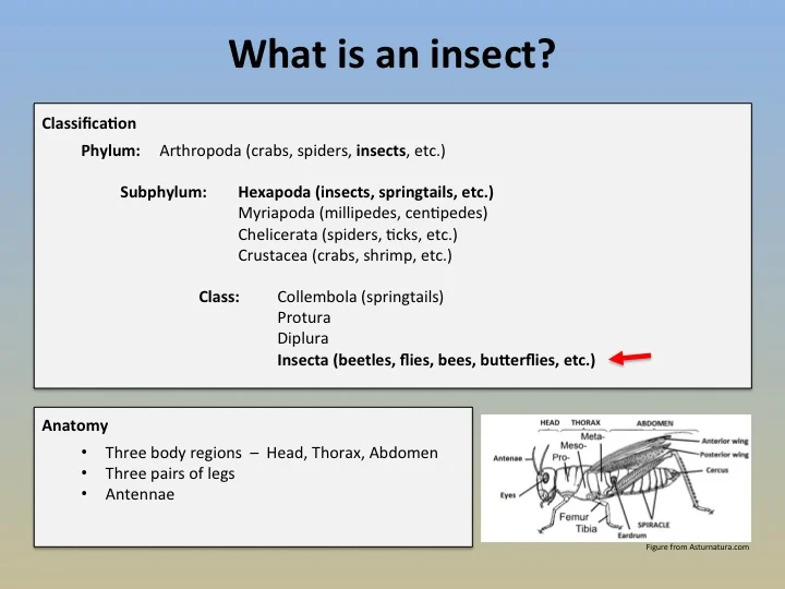 slide2.jpg