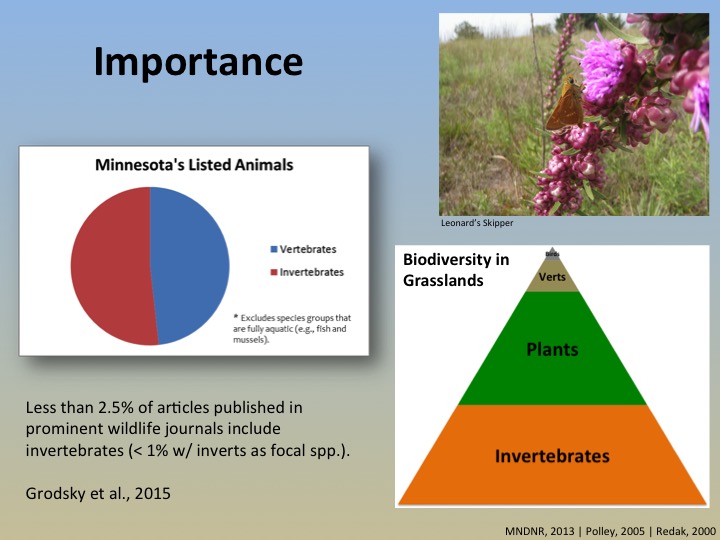 slide6.jpg