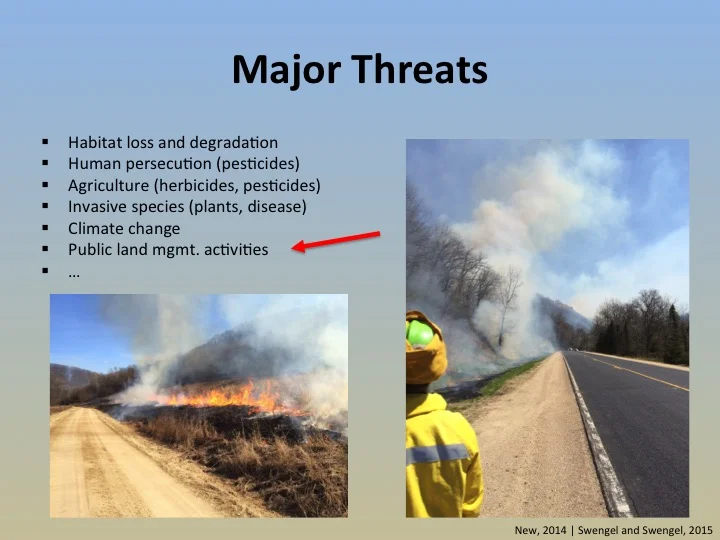slide7.jpg