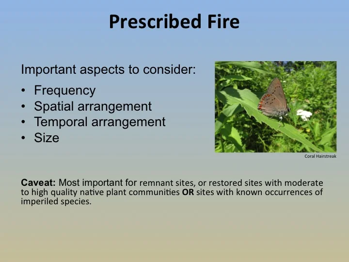 slide8.jpg