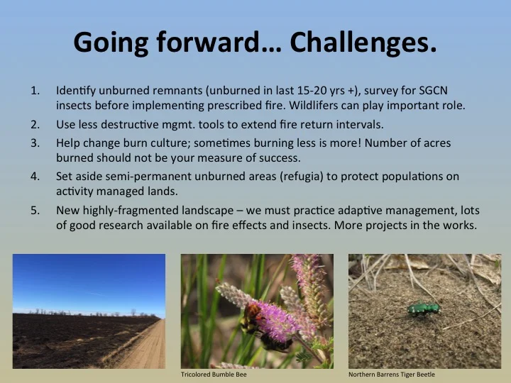 Slide20.jpg