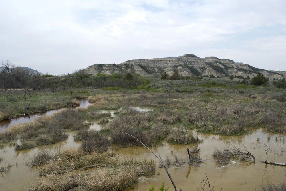 Little Missouri River Wetlands