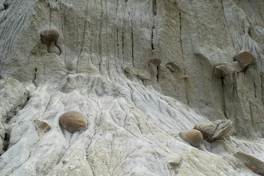 Rock Inclusions