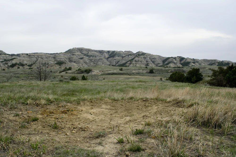Bison wallow
