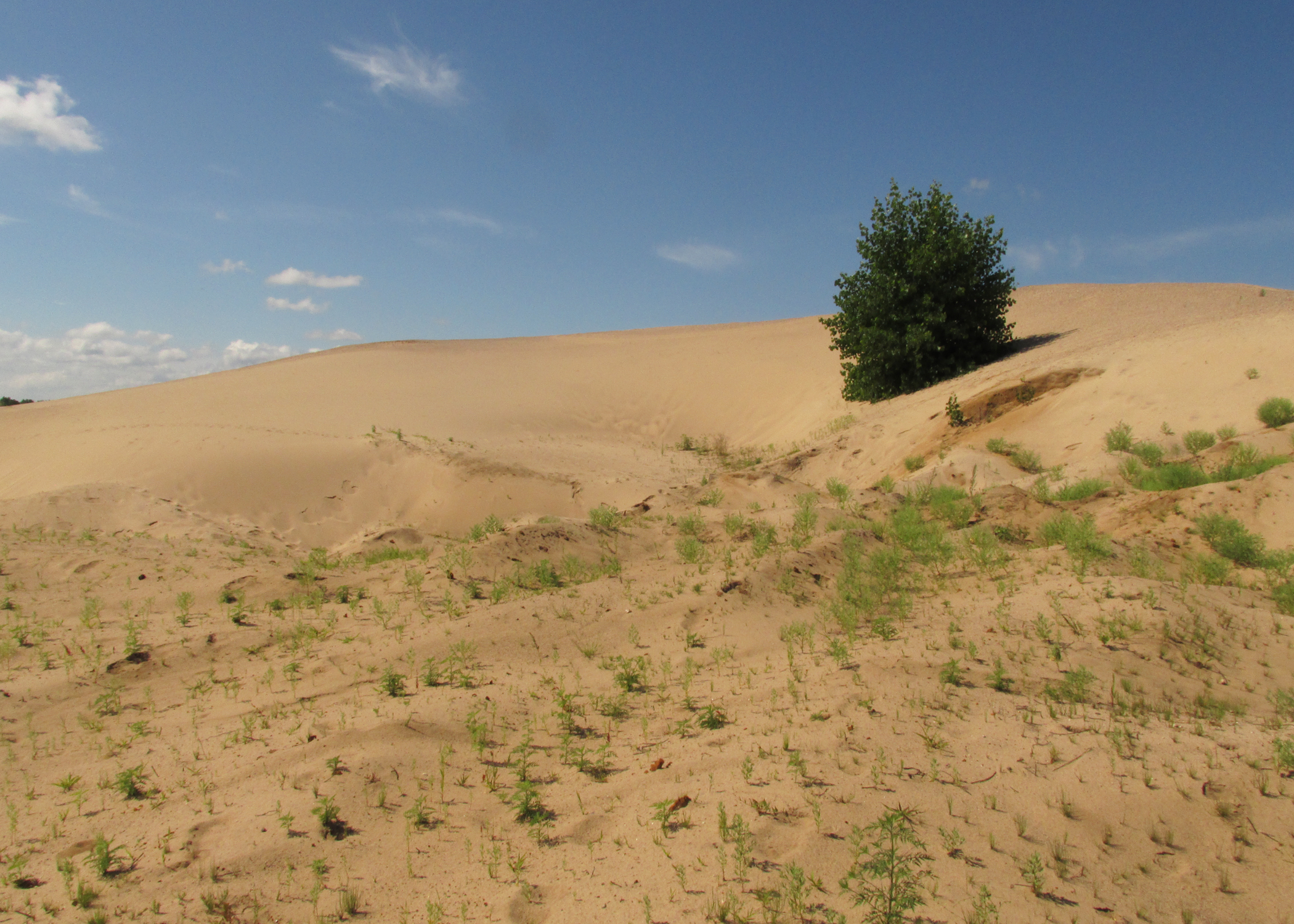 There are ghosts on these sand hills...