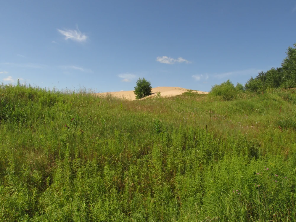 A view of the sand pile from the road. 