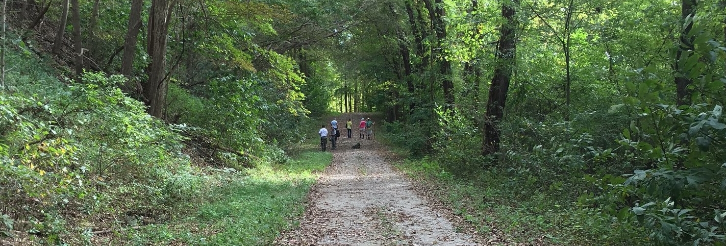 Snake Road A Southern Illinois Reptilian Paradise — Field Ecology