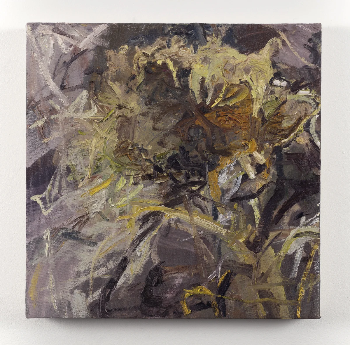 Sunflower 4 15in x 15in, oil on canvas, 2017,