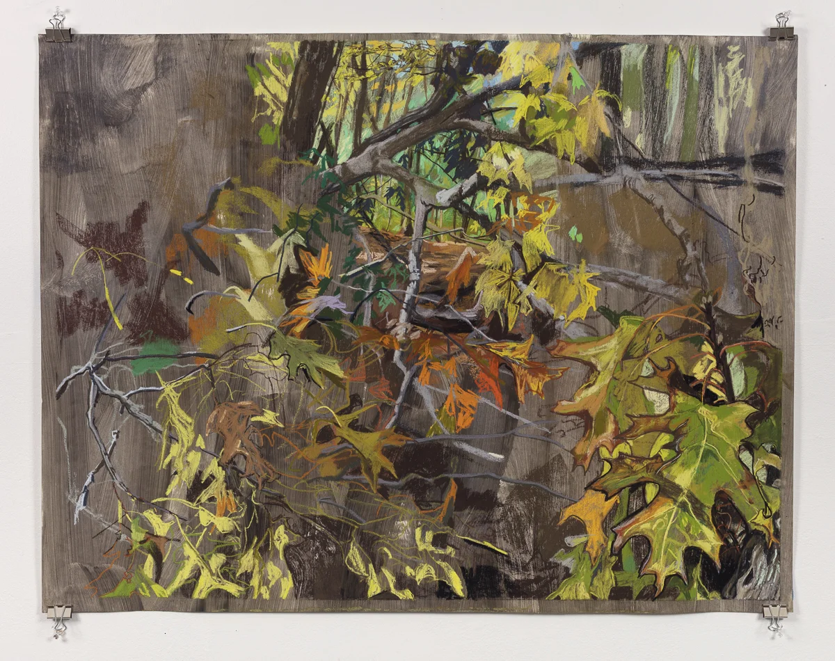 Flair 32in x 42in, pastel on paper, 2017