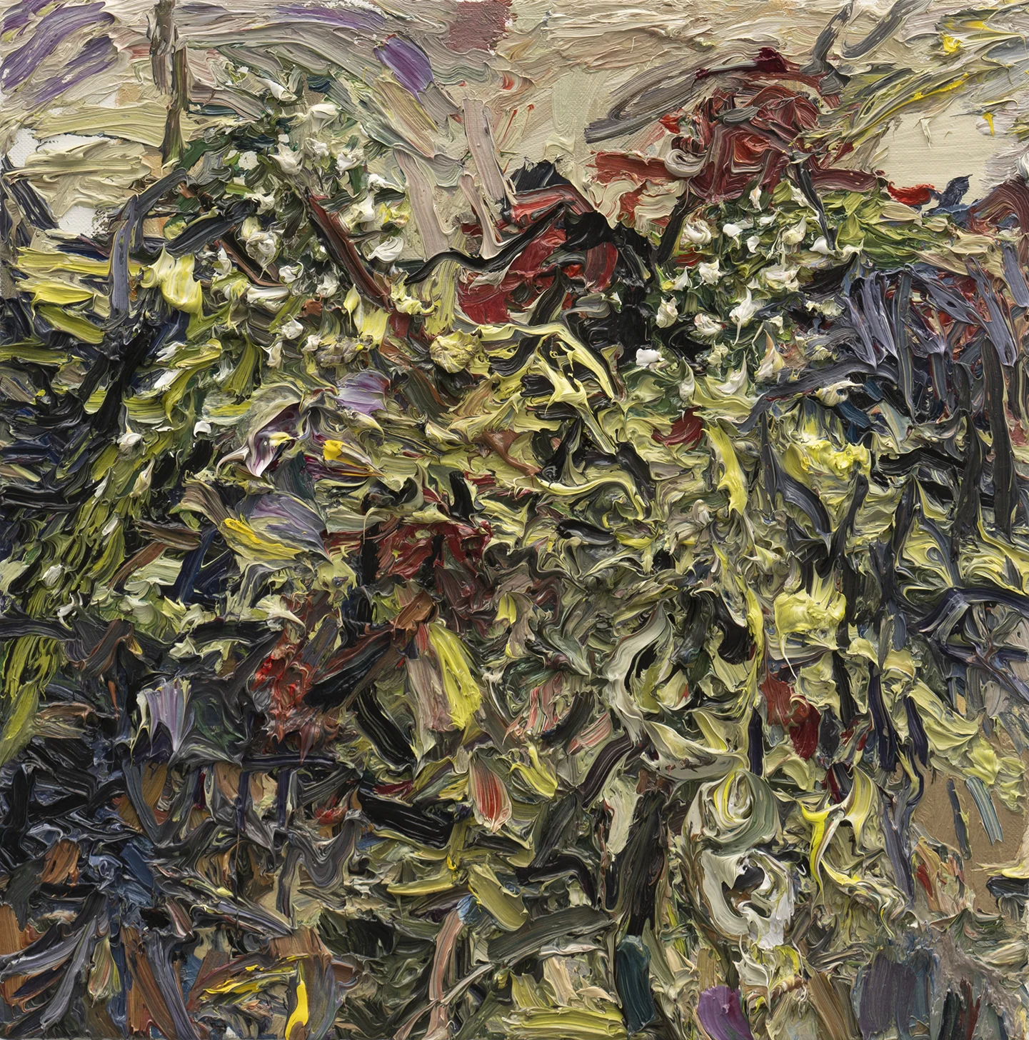 Gooseneck and Hanging Amaranth 10in x 10in, Oil on Linen, 2018