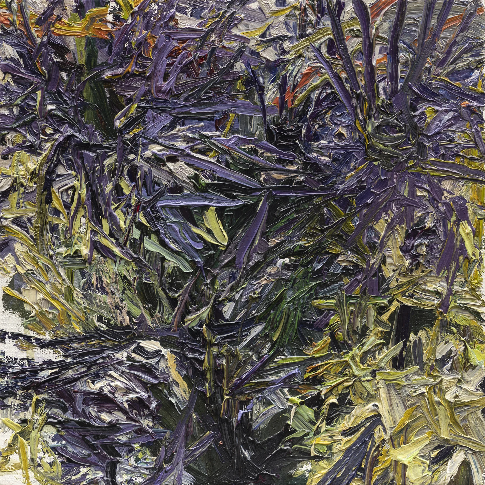 Thistles No.3 10in x 10in, oil on linen, 2018
