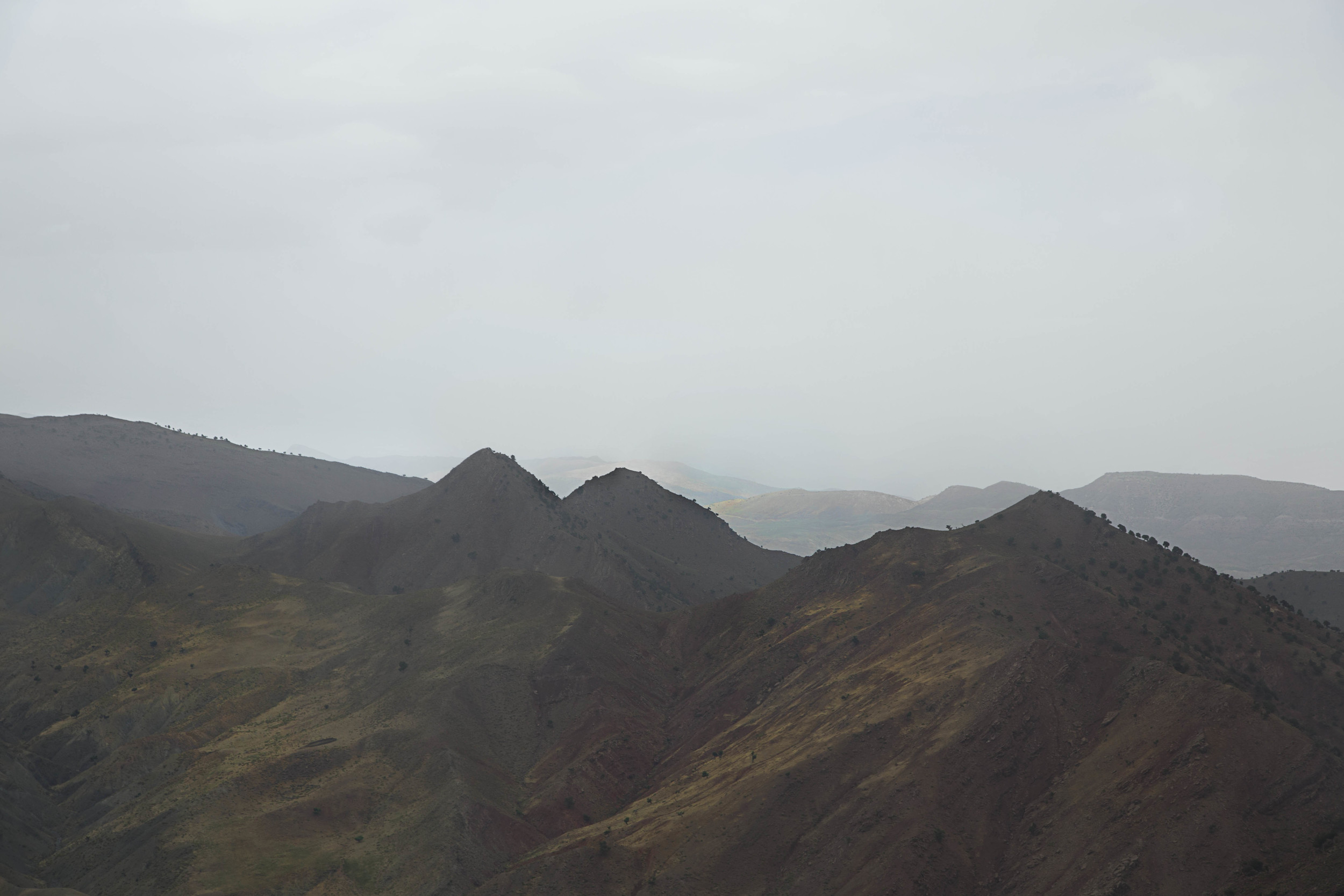landscape.jpg