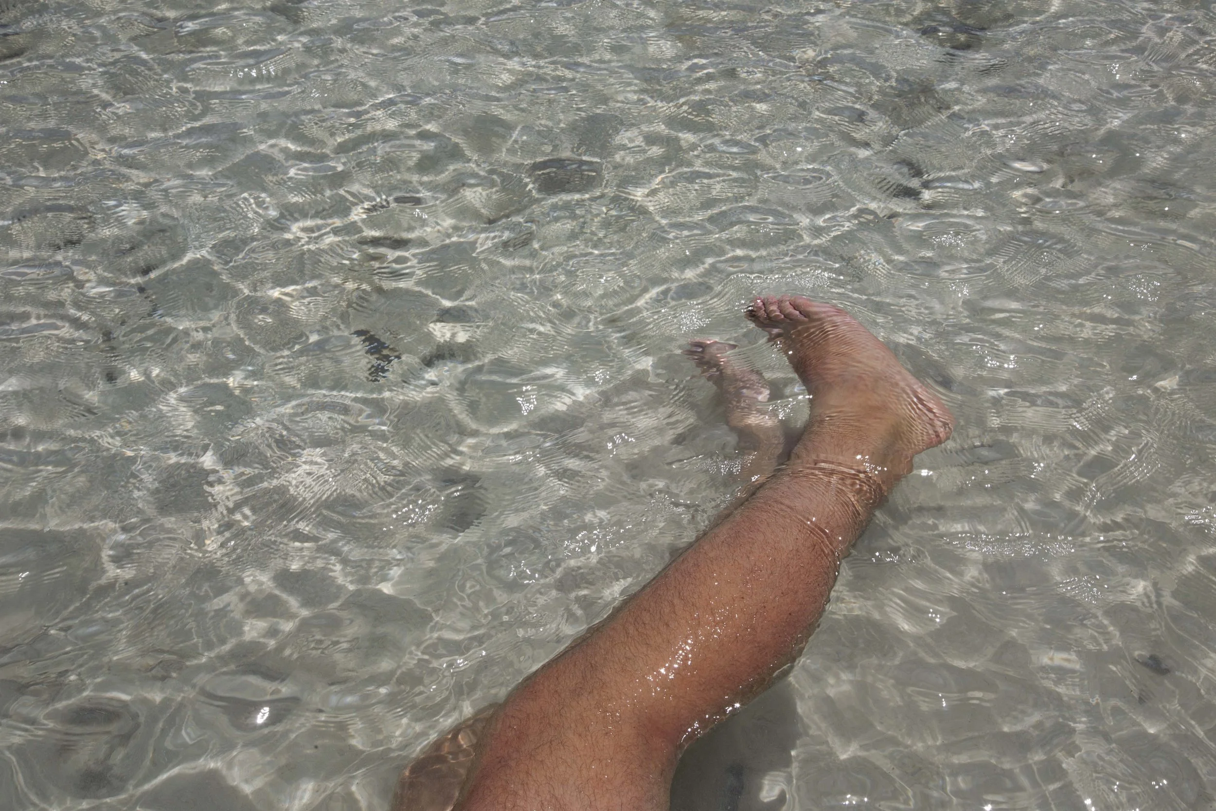 _G4A8042.jpg