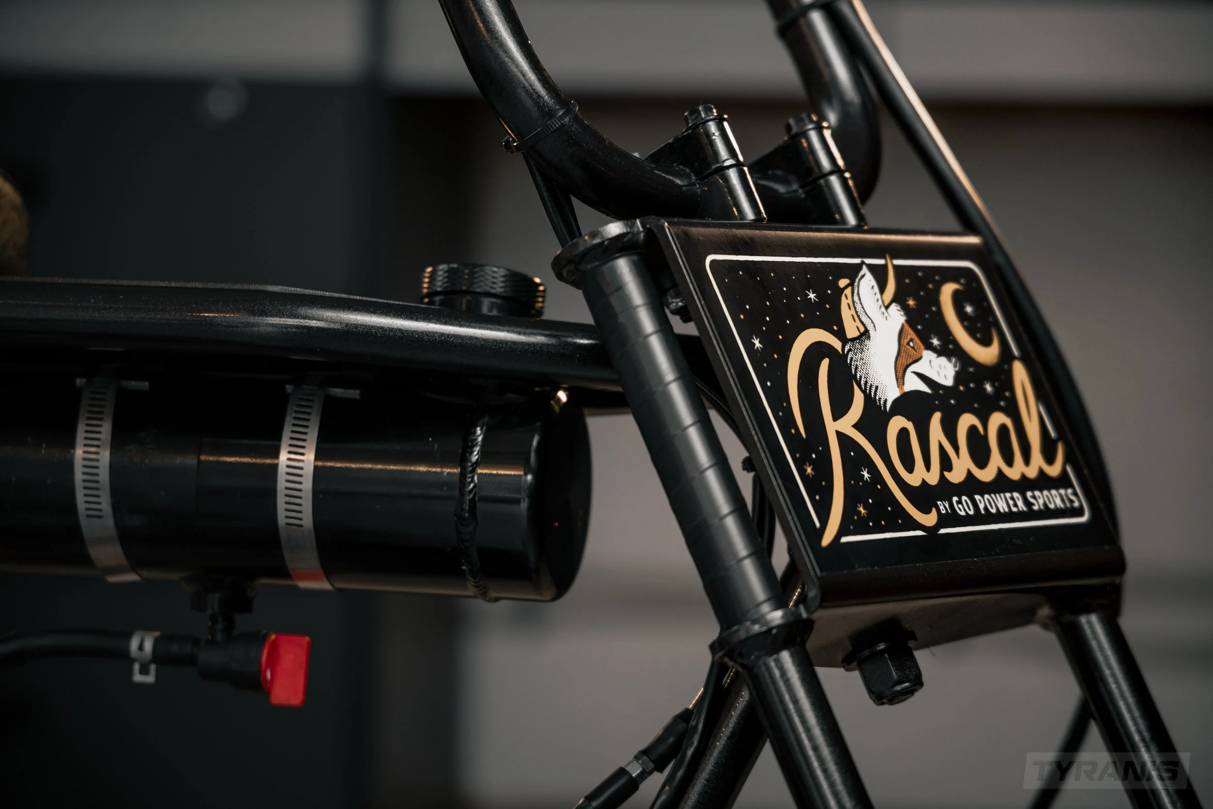 Rascal Studio 1.jpg