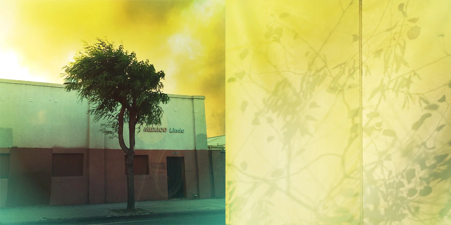 shadows and fire.jpg