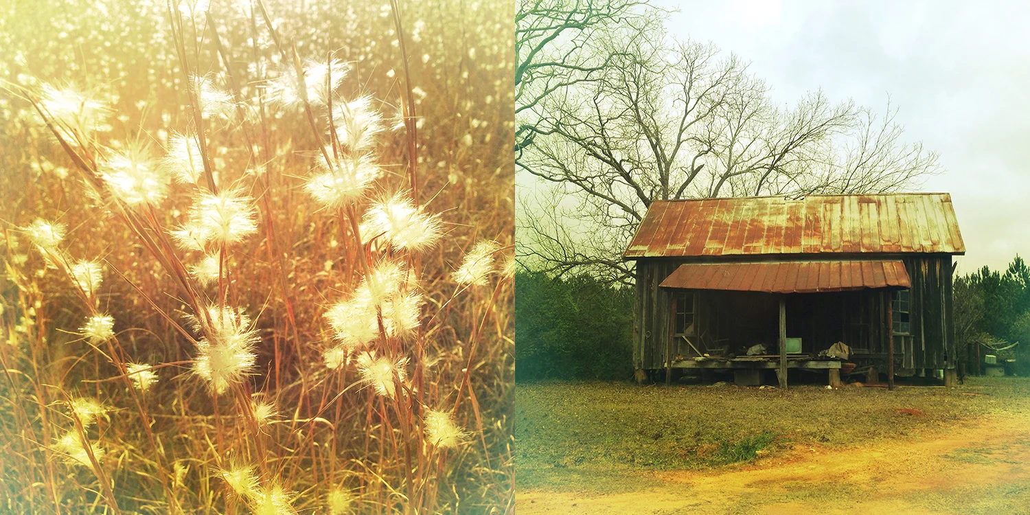 abandoned house and grass.jpg