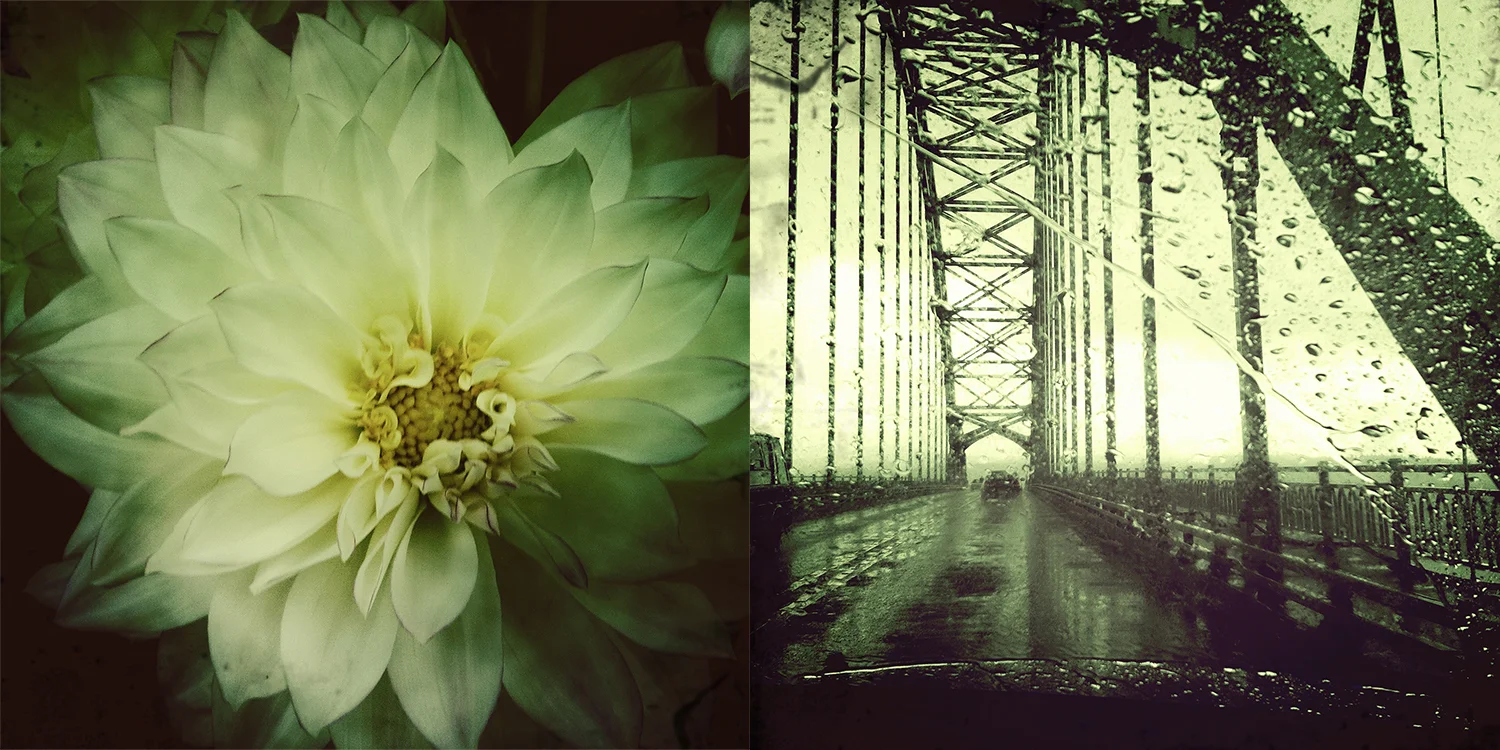 dahlia and bridge.jpg