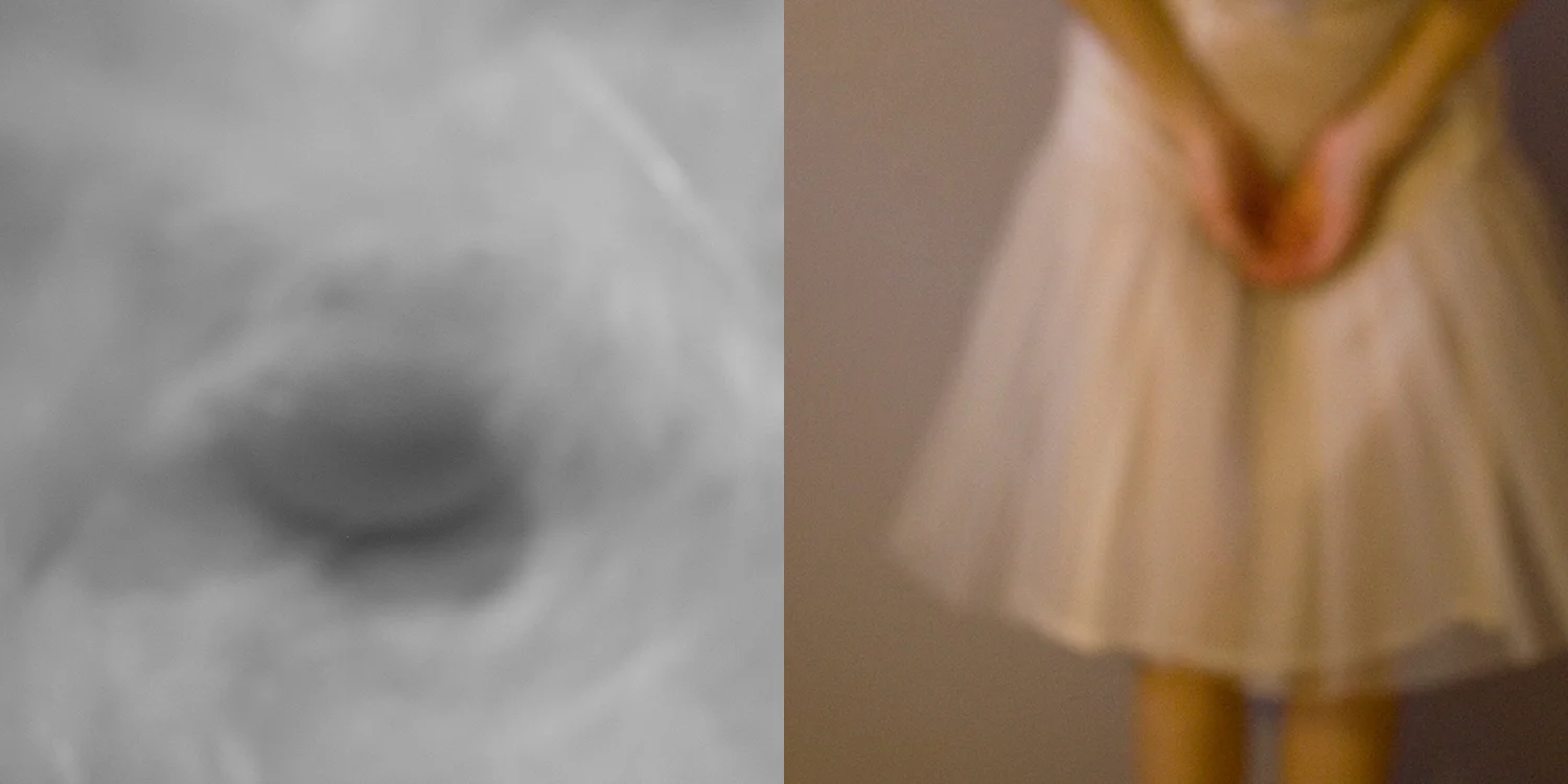 Bladder and egg diptych.jpg