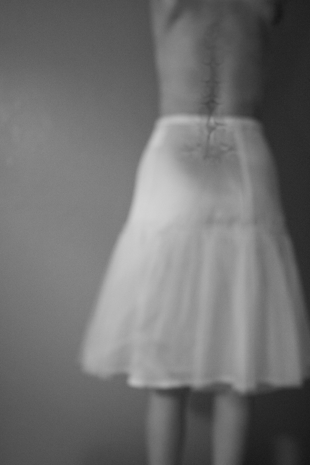 back with turtle spine-squarespace.jpg