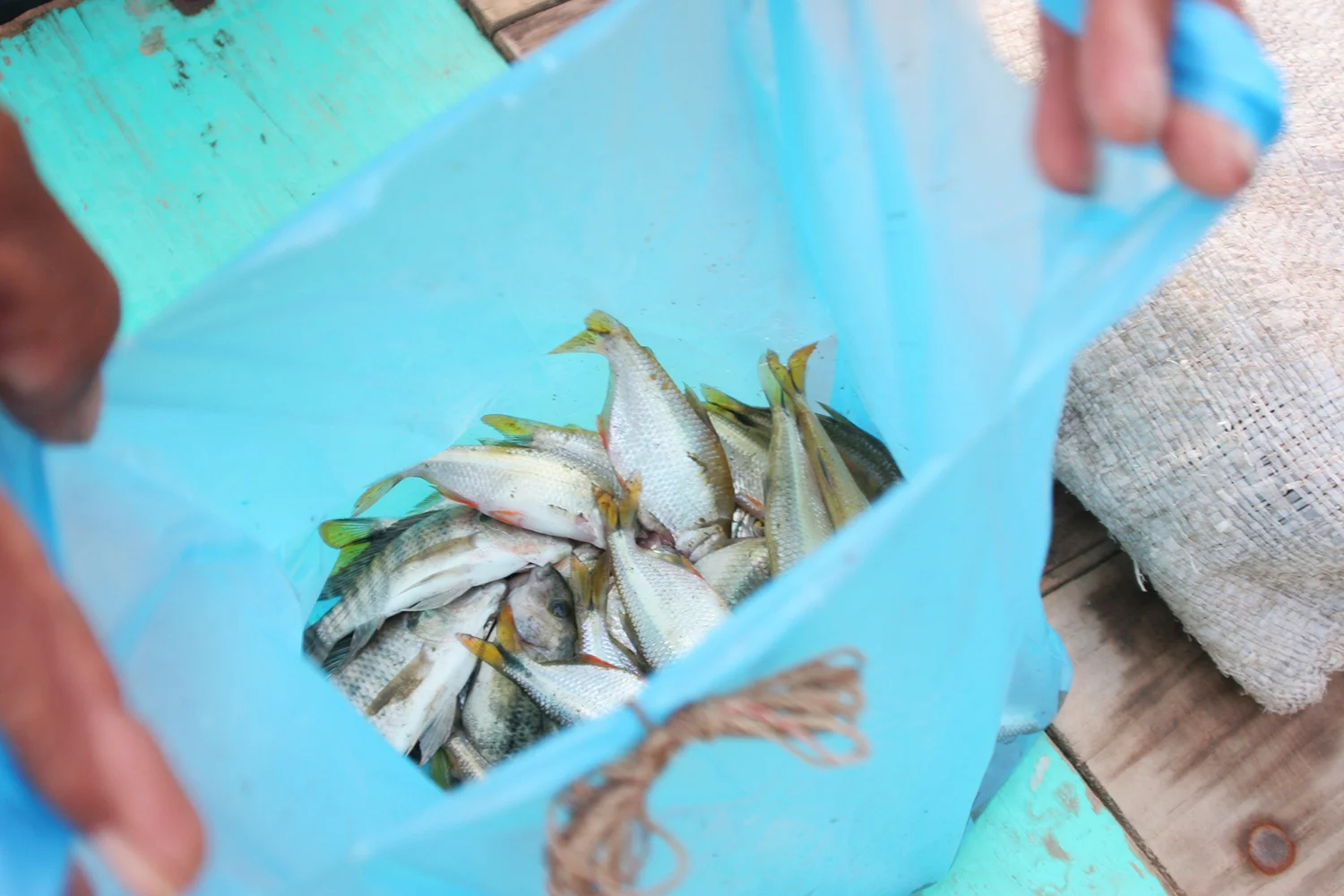 chiapas fisherman-squarespace.jpg