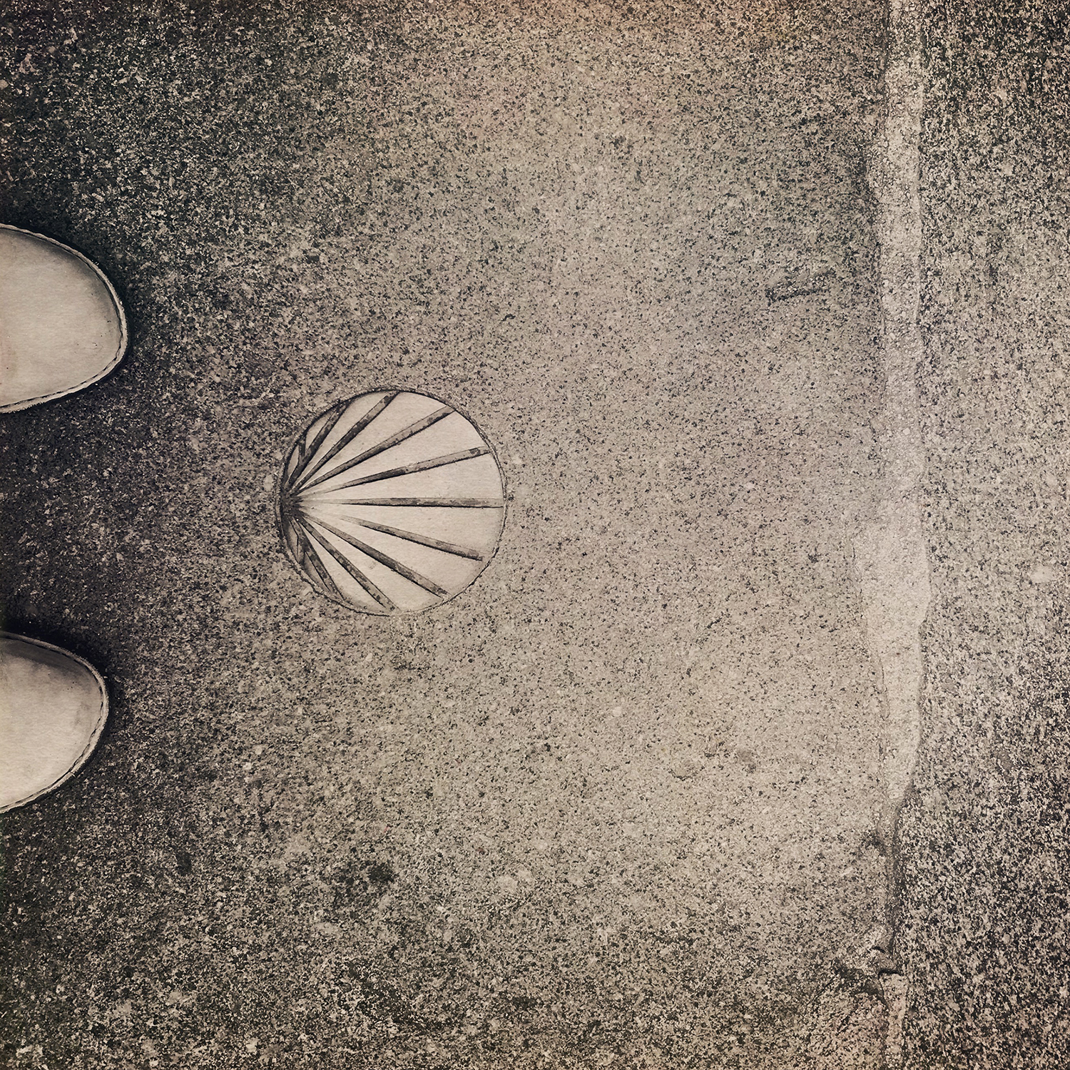 camino-shell-my-feet.jpg