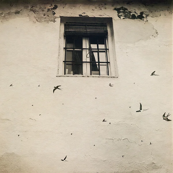 painted-swallows-mijas.jpg