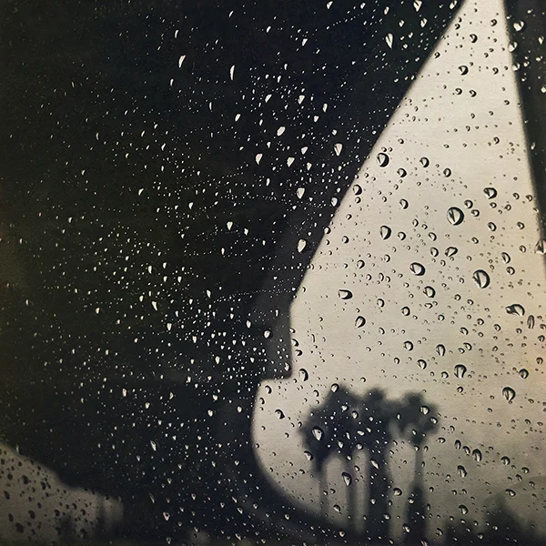 rainy freeway and palm trees.jpg