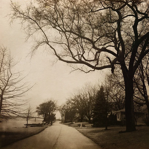 house, trees and mississippi.jpg