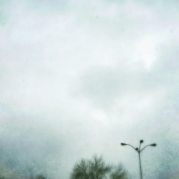 snow, parking lamp and tree.jpg